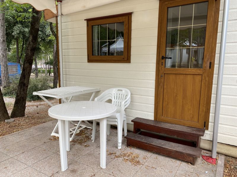 Loose Siding Replacement